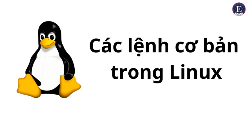 Các lệnh cơ bản trong Linux