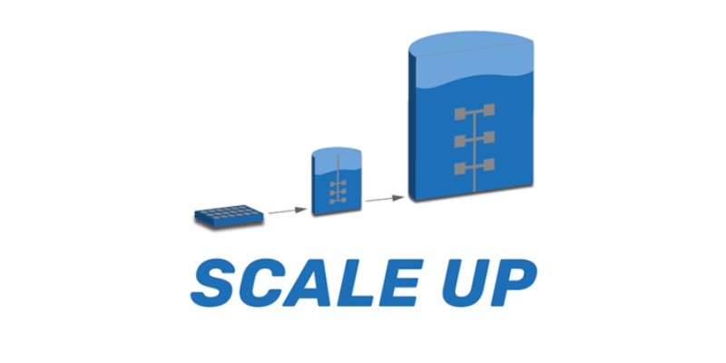 Scale-up là gì