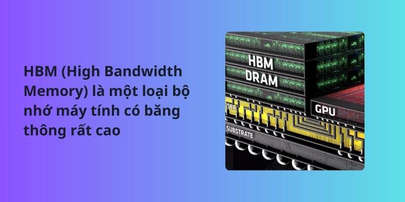 HBM là gì